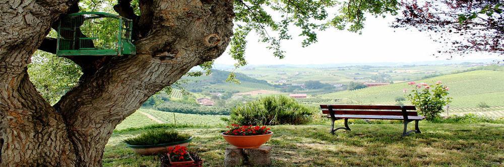 Agriturismo Albarossa Ніцца-Монферрато Екстер'єр фото