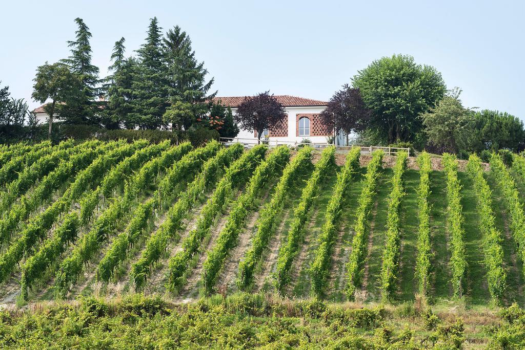 Agriturismo Albarossa Ніцца-Монферрато Екстер'єр фото